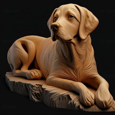3D модель Брохолмерская собака (STL)
